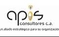 Apis Consultores, C .A