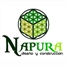 Napura LTDA