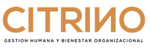 Consultora Citrino