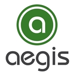 Aegis Consultora Organizacional
