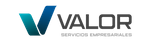 VSE
